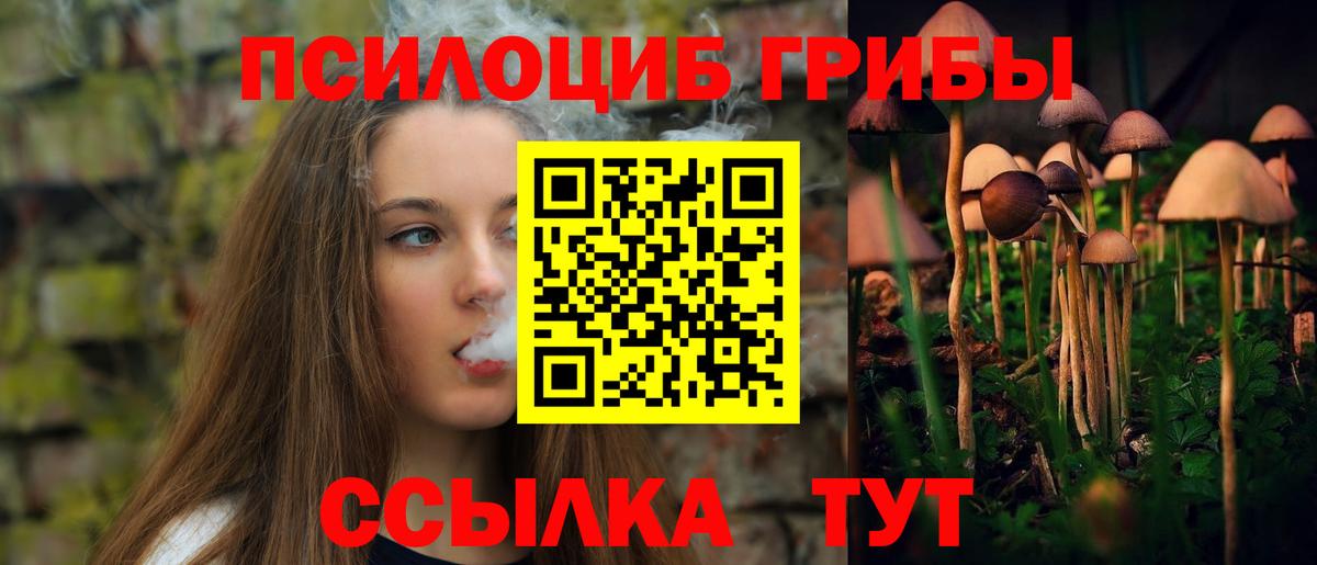 Галлюциногенные грибы мицелий  Вход с VPN  Тобольск  Галлюциногенные грибы Psilocybe 